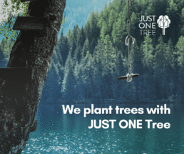 We plant trees 3 uai