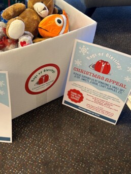 🎁 Bags of Blessings Christmas 2025🎄 3 Bags of Blessing collection box 1 scaled uai